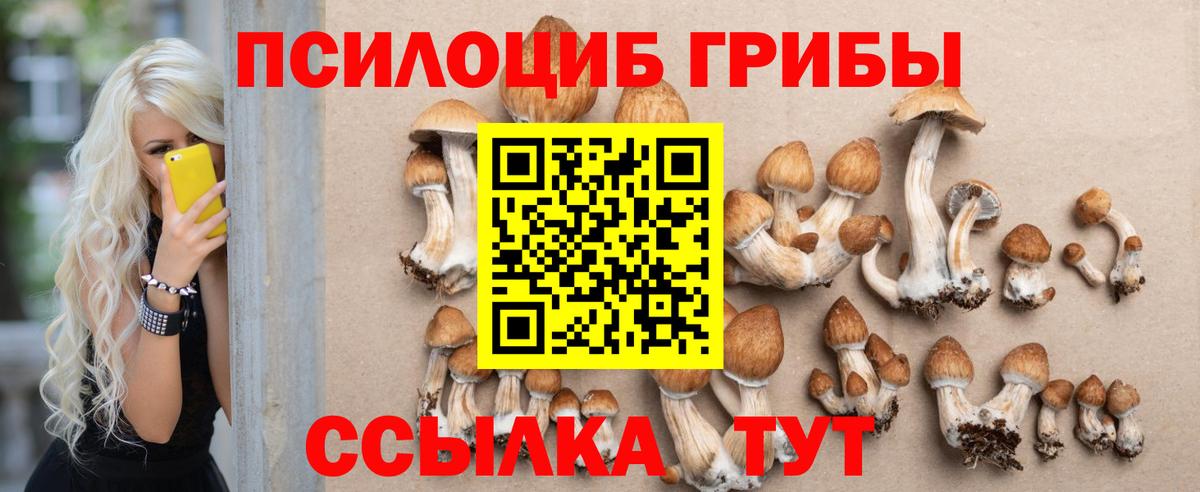 Псилоцибиновые грибы Psilocybine cubensis  Галлюциногенные грибы мухоморы  Вход с VPN  Красный Сулин 